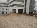 aIMG_0004