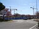 DSC00597